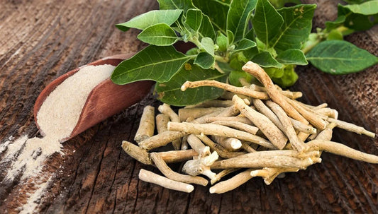 Ashwagandha: beneficios para hombres y cómo tomarla