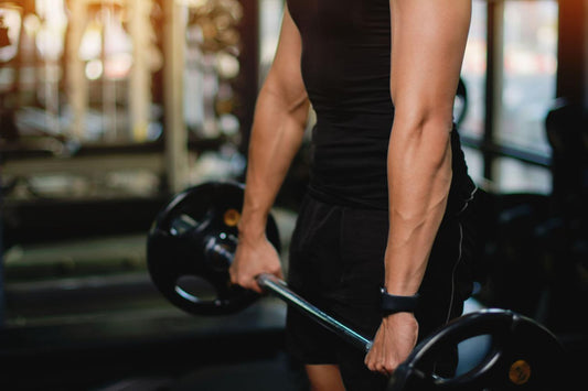 Creatina: guía completa para ganar masa muscular