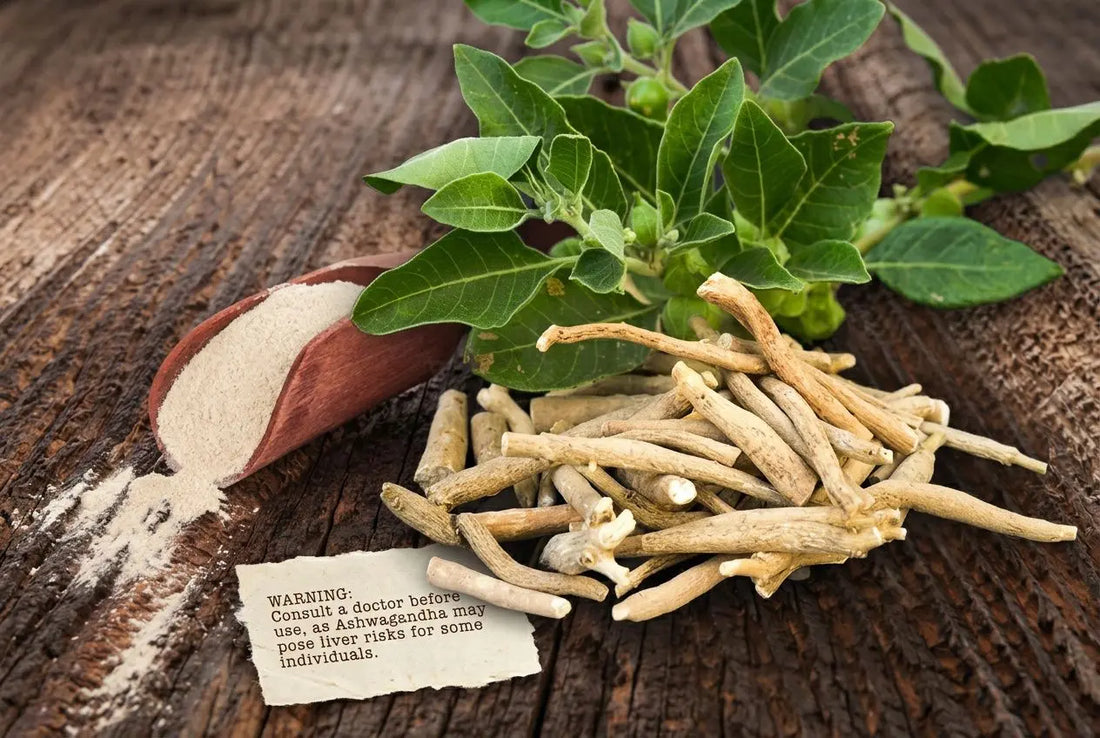 Ashwagandha contraindicaciones: efectos secundarios y ansiedad